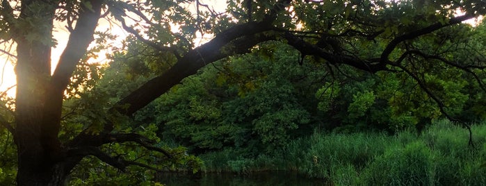 р.Самарчук is one of สถานที่ที่ Denis ถูกใจ.