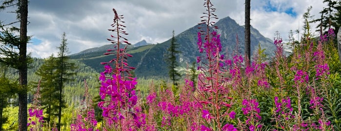 Rázcestie pred Heliosom (1350 m n.m.) is one of Turistické body v TANAP-e.