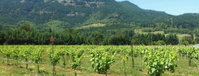 Hillcrest Vineyard is one of Jeffさんのお気に入りスポット.