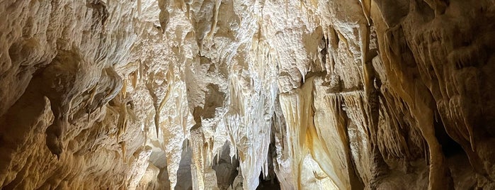 Ruakuri Cave is one of New Zealand.