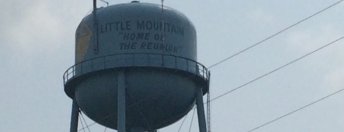 Little Mountain, SC is one of May Diabetes Events.