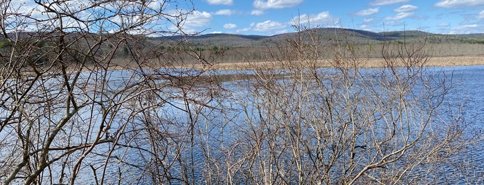 Bashakill Wildlife Management Area is one of Delaware River Adventure Ideas.