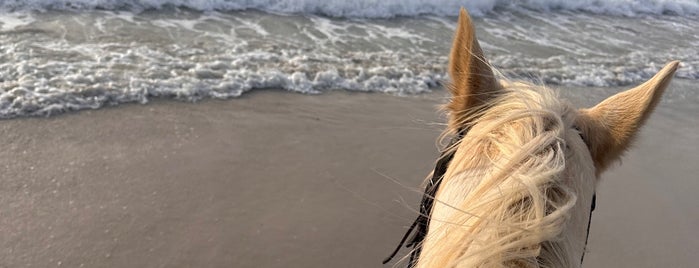 Horse riding on Noordhoek Beach is one of Cape Town.