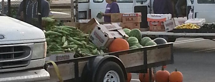 Downtown Farmers' Market is one of Lugares favoritos de Brandi.