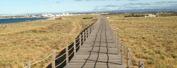 Praia dos Salgados is one of Portugal Roadtrip 2017🇵🇹.