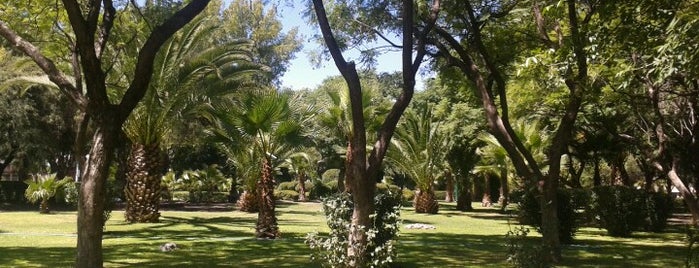 Parque Carretas is one of Lieux qui ont plu à Sergio.