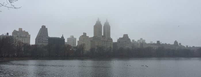 Central Park is one of Celina’s Liked Places.