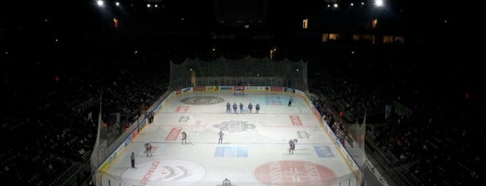 Arena Ice Fever 2012 is one of Katarina'nın Beğendiği Mekanlar.