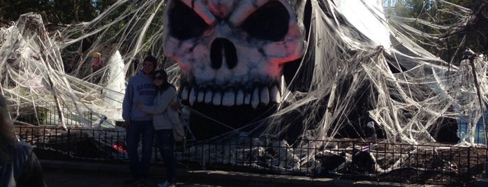 Halloween Haunt is one of Locais curtidos por Kate.