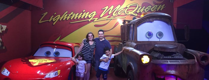 Team McQueen: Cars Meet and Greet is one of Closed Disney Venues.