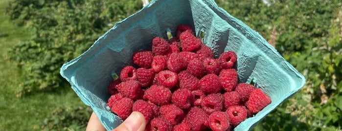 Thompson's Strawberry Farm is one of Wisconsin To Do.