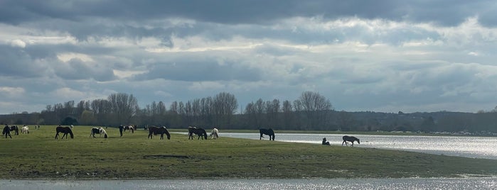 Port Meadow is one of Places for running.