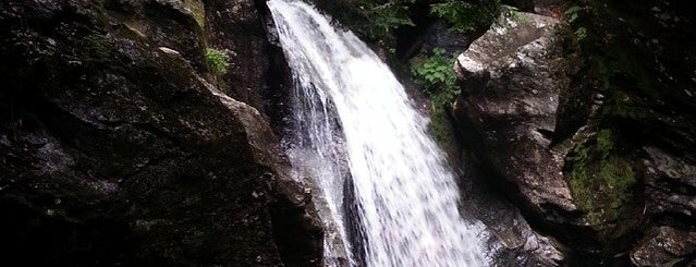 Bingham Falls is one of Vermont.