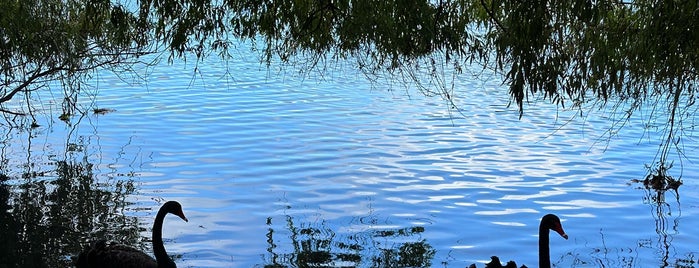 Western Springs Park is one of William's picks for Parks.