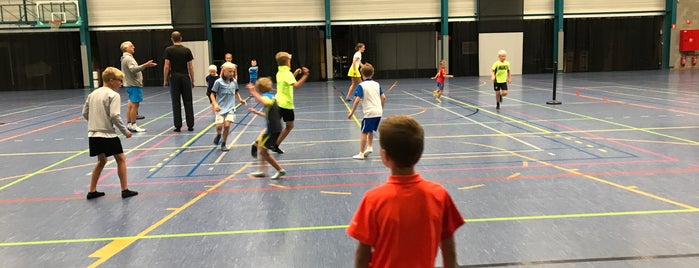 Sporthal De Molen is one of Badminton Arena's.