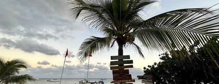 Compass Point Dive Resort is one of Favorite Places Grand Cayman.