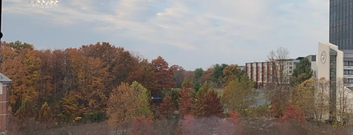 The Westin Reston Heights is one of Hotel, Motel, Holiday Inn.