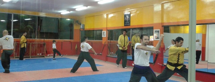 TSKF - Templo Shaolin de Kung Fu is one of Academias da TSKF.