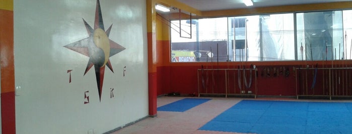 TSKF - Templo Shaolin de Kung Fu is one of Academias da TSKF.