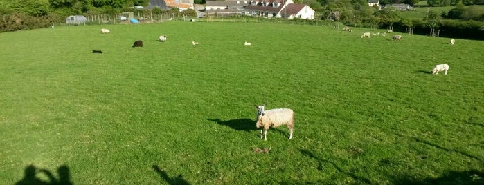 Penlan Farm Cottage is one of András’s Liked Places.