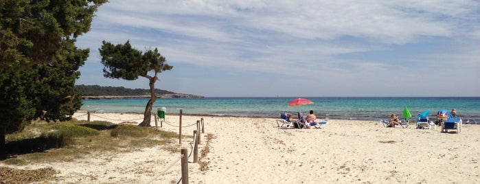 Platja de sa Coma is one of Mallorca for summer.