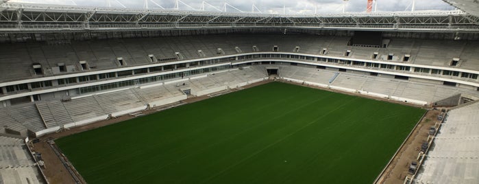 Kaliningrad Stadium is one of World Cup 2018 Stadiums.