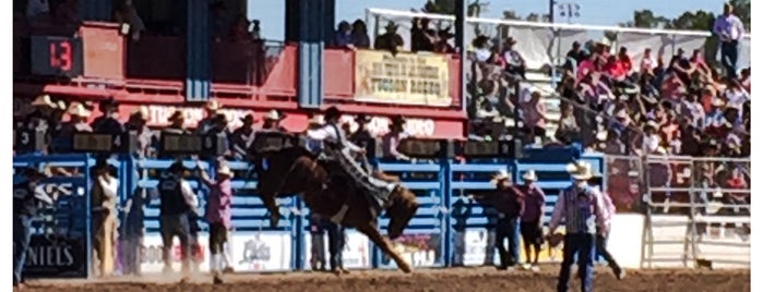 Tucson Rodeo Ground is one of สถานที่ที่ Ben ถูกใจ.