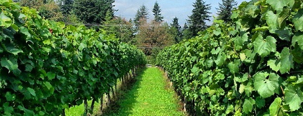 Township 7 Vineyards & Winery (Coast) is one of Langley Circle Farm Tour.