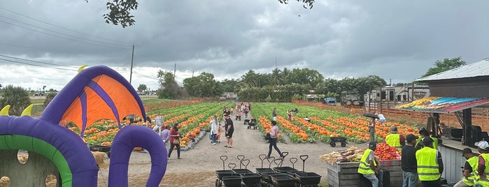Bedner's Farm Fresh Market is one of Florida.