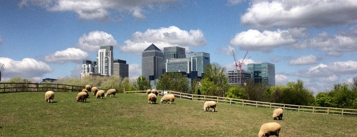 Mudchute Park and Farm is one of London.
