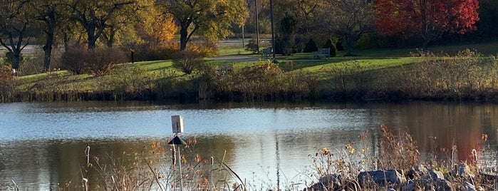 Glimmerglass Lagoon is one of SUNY Oswego.