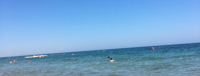 Kaya Reis Beach is one of Magosa deniz.