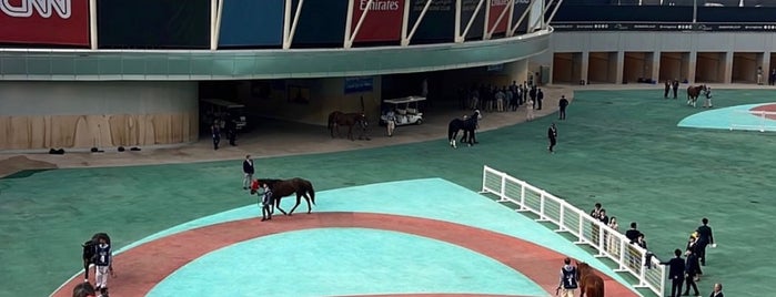 Meydan Racecourse is one of Horse Racing Around the World.