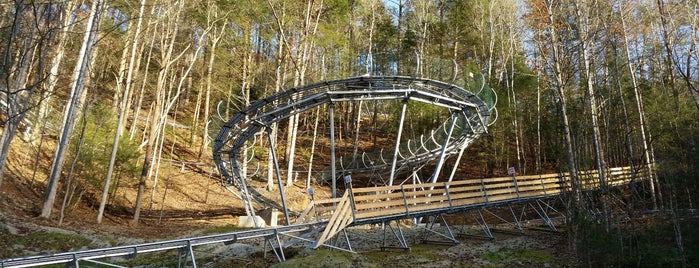 Gatlinburg Mountain Coaster is one of RF's Southern Comfort.