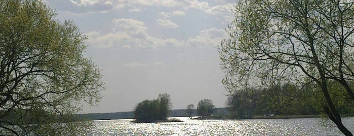 Истринское водохранилище is one of Пляжи истринский район.