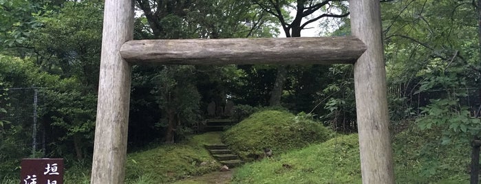新田塚/新田神社 is one of 神奈川西部の神社.