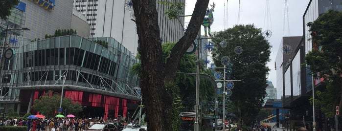 Orchard Shopping Centre is one of SHOPPING.