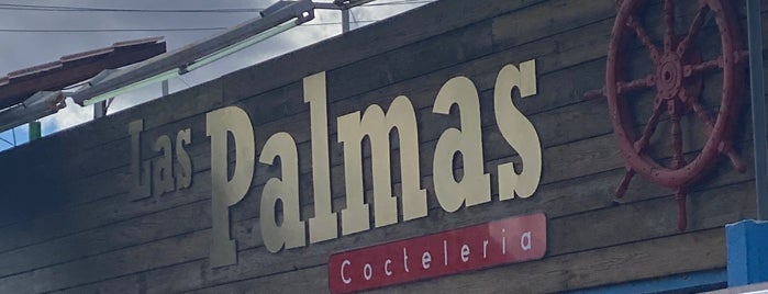 Restaurante Las Palmas is one of Come en Nuevo Casas Grandes.
