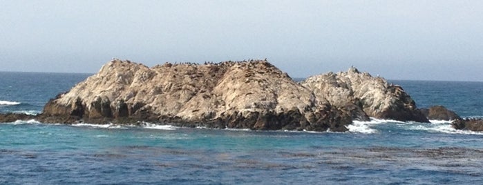 Bird Rock is one of Central CA Coast.