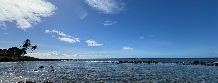 Baby Beach is one of Hawaii.