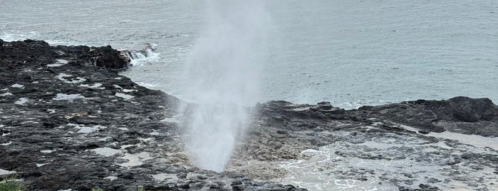 Spouting Horn State Park is one of US - Tây.