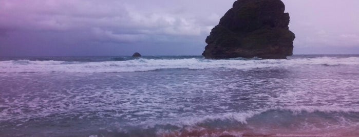 Pantai Goa China (Pantai Rowo Indah) is one of Ammytaさんのお気に入りスポット.