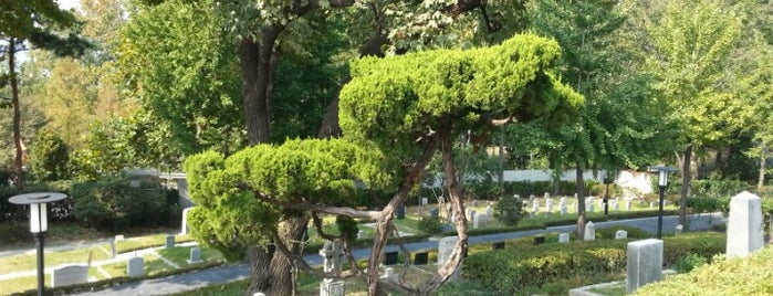 Yanghwajin Foreign Missionary Cemetery is one of I ♥ SEOUL :).