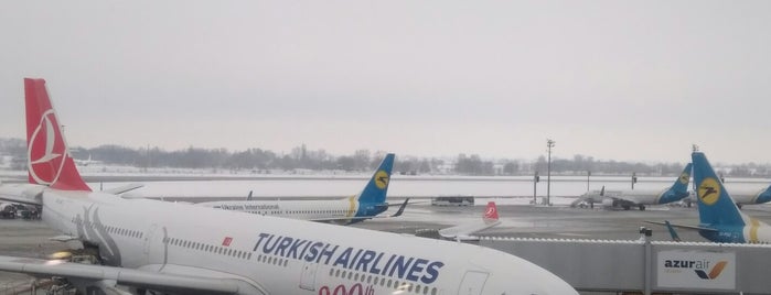 Turkish Airlines Flight TK 458 to Istanbul is one of Oxana : понравившиеся места.