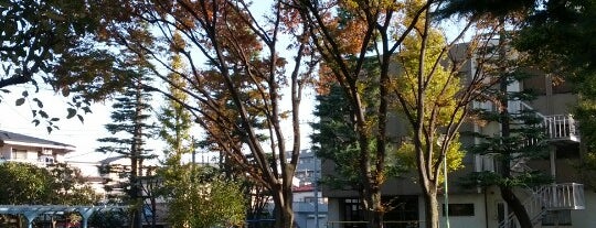 下沼部公園 is one of 武蔵小杉周辺の公園.