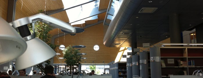 Knihovna univerzitního kampusu is one of MUNI.