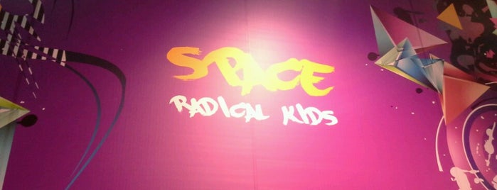 Space Radical Kids is one of Locais curtidos por Sofia.