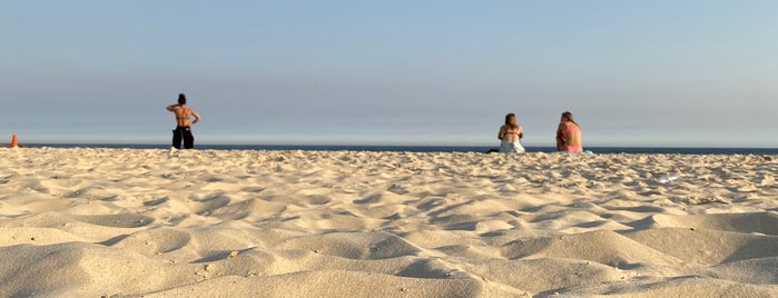 Bondi Beach is one of Lieux qui ont plu à Dustin.