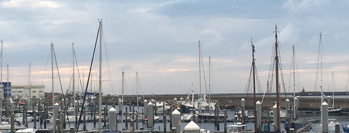 Seaport IJmuiden Marina is one of Havens in Nederland.