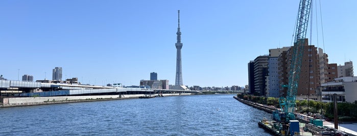 Shirahige Bridge is one of 東京都選定歴史的建造物.